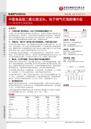 凯美特气深度报告:中国食品级二氧化碳龙头,电子特气打造新增长极