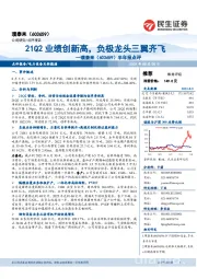 半年报点评：21Q2业绩创新高，负极龙头三翼齐飞