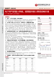 凯美特气点评报告:电子特气获重大突破,超强盈利能力展现战略价值