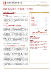 EGR龙头启航 新能源引领增长