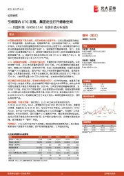投资价值分析报告:引领国内UTG发展,集团定位打开想象空间