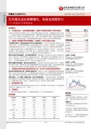 安徽合力深度报告：叉车国企龙头持续增长，具备全球竞争力