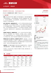 2021中报点评：结构件沙漠之花，龙头地位不变