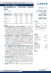 低压电器领先企业，“直销+经销”双轮驱动高增长