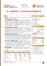 收入继续高增，利润率和现金流短期承压