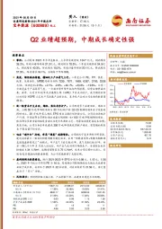 Q2业绩超预期，中期成长确定性强