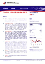 产品升级、渠道改革促业绩稳步增长