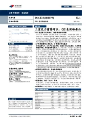 2021年半年报点评：三重发力蓄势增长，Q2表现略承压