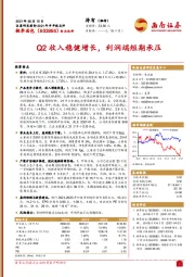 Q2收入稳健增长，利润端短期承压