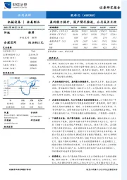 盈利能力提升，国产替代推进，公司成长无忧