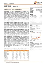 塔国铅锌巨头,冉冉升起的盐湖新星