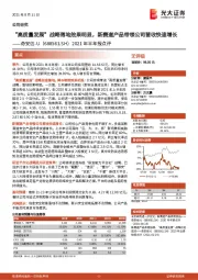 2021年半年报点评:“高质量发展”战略落地效果明显,新赛道产品带领公司营收快速增长