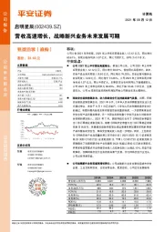 营收高速增长，战略新兴业务未来发展可期