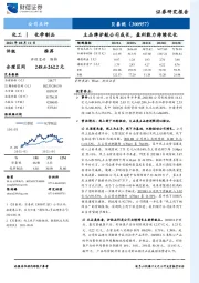 主品牌护航公司成长，盈利能力持续优化