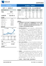 持续聚焦核心业务,双主业发展向好