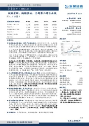 战略清晰,脚踏实地,开辟第二增长曲线