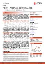 投资价值分析报告：“碳中和”+“新基建”加码，能源解决方案龙头再起航