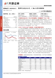 公司首次覆盖报告：瓷砖行业龙头公司，C端+大宗双轮驱动
