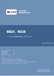 公司深度报告:新起点,再出发