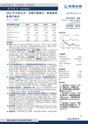 2021年中报点评:业绩平稳增长,新能源装备海外破冰