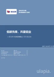 公司深度报告：低碳先锋，共襄铝业