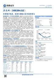 经营稳步恢复,检测及储能业务价值待重估