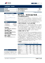 2021年半年报点评：锌矿龙头，迎来加速扩张期