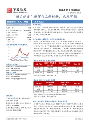 “恒力速度”进军化工新材料，未来可期