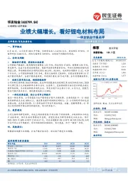 华友钴业中报点评：业绩大幅增长，看好锂电材料布局