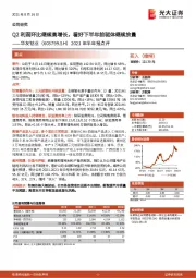 2021年半年报点评：Q2利润环比继续高增长，看好下半年前驱体继续放量