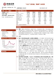 “大化工”提升盈利，“新材料”未来可期