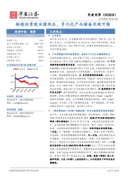 短期因素致业绩承压，多元化产品储备长线可期