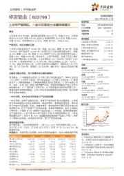 上半年产销两旺，一体化布局助力业绩持续提升