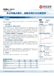 市占率稳步提升，战略布局打开长期空间