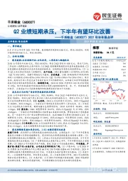 2021年半年报点评:Q2业绩短期承压,下半年有望环比改善