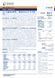 Q2业绩再创新高，磷复肥龙头产业升级