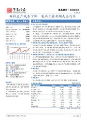 硅料生产成本下降，电池片盈利领先全行业