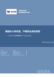 公司深度报告：储能步入快车道，户储龙头深化优势