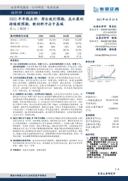 2021半年报点评：符合我们预期，龙头盈利持续超预期，新材料冲击中高端