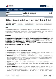 重大事件快评:多媒体智能SoC芯片龙头,受益于AIoT赛道高景气度