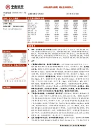 中报业绩符合预期，硅业龙头持续向上