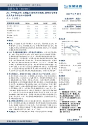2021年中报点评:业绩基本符合我们预期,看好公司化学发光成长与平台化业务拓展