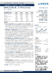 中报点评:硅料助力业绩大增,扩产强化龙头地位