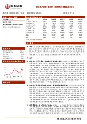 复合肥产业链不断延伸，新型肥料与磷酸铁助力成长