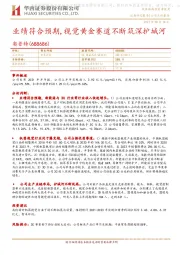 业绩符合预期,视觉黄金赛道不断筑深护城河