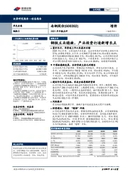 2021年中报点评：钢铁主业稳健，产业投资打造新增长点