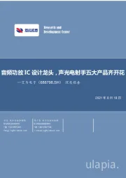 深度报告:音频功放IC设计龙头,声光电射手五大产品齐开花