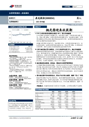 2021年中报:抛光垫迎来收获期