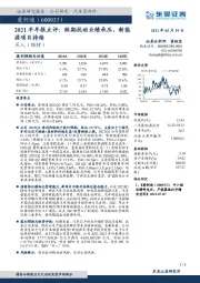 2021半年报点评：短期扰动业绩承压，新能源项目持续