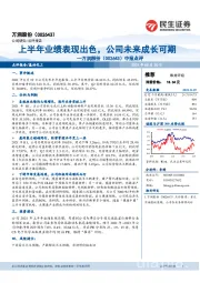 中报点评：上半年业绩表现出色，公司未来成长可期